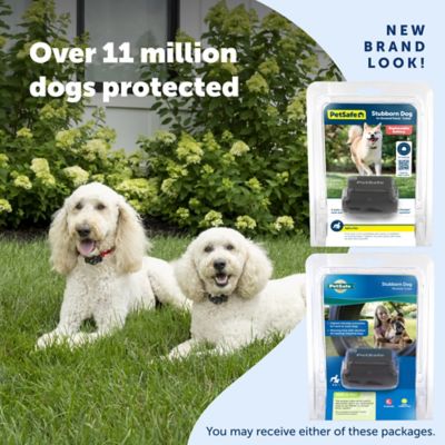 Image showing 6 th PetSafe Stubborn Dog In-Ground Fence Dog Collar Receiver