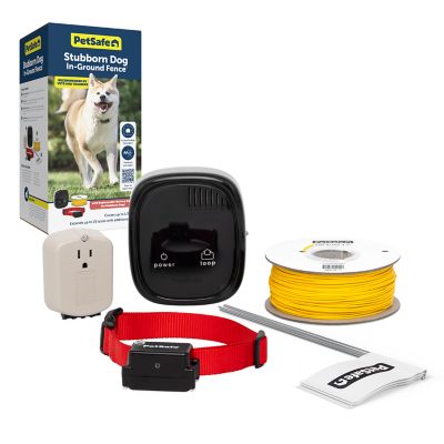 PetSafe Stubborn Dog In-Ground Pet Fence at Tractor Supply Co.