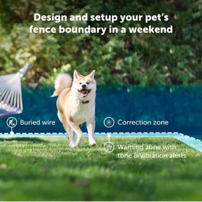 Image showing  500 ft. Stubborn Dog In-Ground Pet Fence