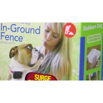 Stubborn dog outlet in ground fence