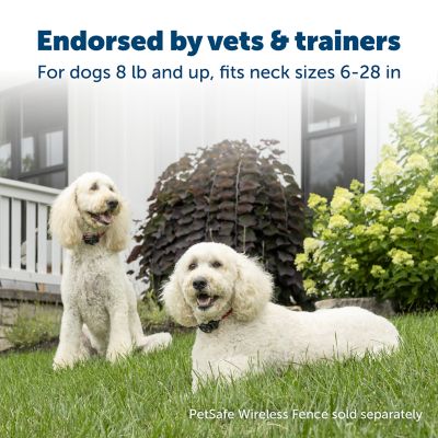 Image showing  Wireless Pet Containment System Dog Collar Receiver