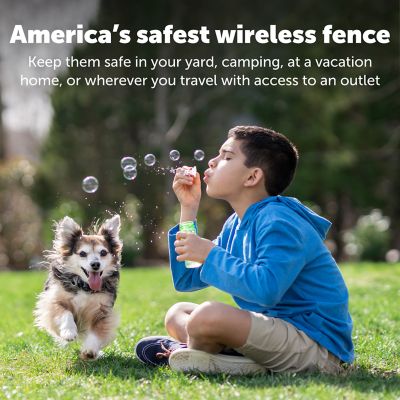 Image showing  Wireless Pet Containment System Dog Collar Receiver