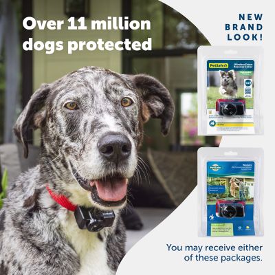 Image showing 6 th PetSafe Wireless Pet Containment System Dog Collar Receiver