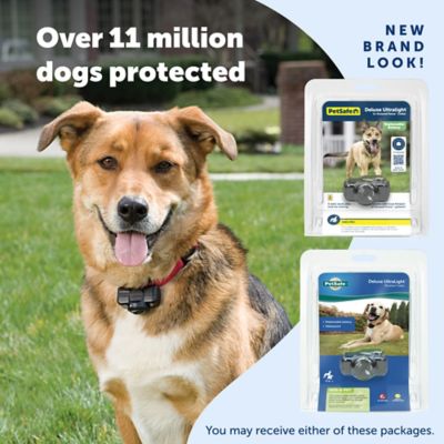 Image showing 6 th PetSafe Ultralight Receiver Dog Collar