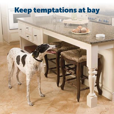 Image showing  3V Lithium Dog Collar Batteries, 2 pk.