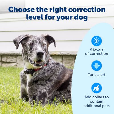 Image showing  1/2-Acre Wireless Fence Pet Containment System