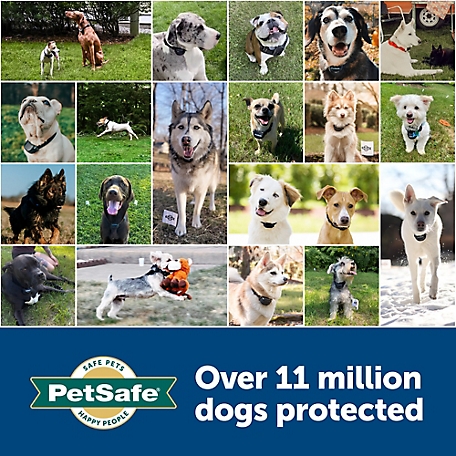 PetSafe America's Safest Pet Fence - The Original Wireless Containment  System - Covers up to 1/2 Acre for dogs 8lbs+, Tone / Static - Parent  Company