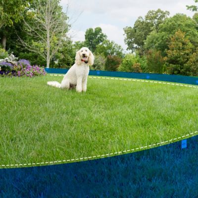 Image showing 8 th PetSafe 1/2-Acre Wireless Fence Pet Containment System