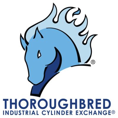 Image showing  #2 Size Shielding Gas Cylinder, 40 cu. ft.