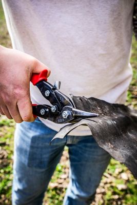 Image showing 7 th Crescent WISS 9-3/4 in. Compound Action Straight and Left Aviation Snips