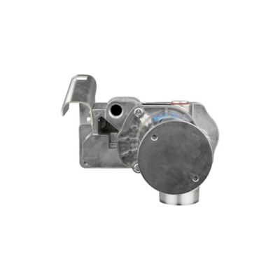 Image showing  15 GPM 12V Fuel Transfer Pump, Economy Model