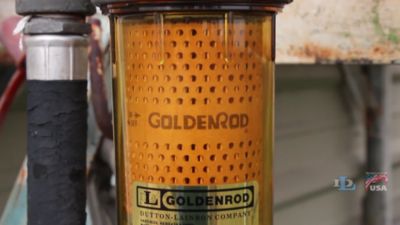 Image showing  Goldenrod 470-5 Standard Fuel Tank Filter Element