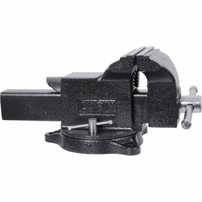 Larin 5 in. Steel Bench Vise