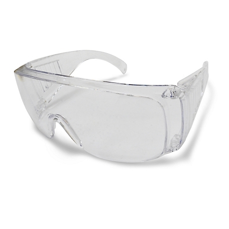 Stanley Clear Over the Glass Safety Eyewear