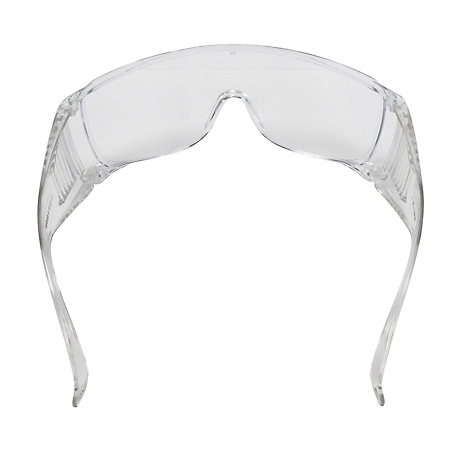 Stanley Clear Frame, Clear Lens Safety Glass at Tractor Supply Co.