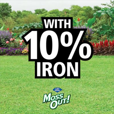 Image showing  20 lb. Moss Out! for Lawns Granules