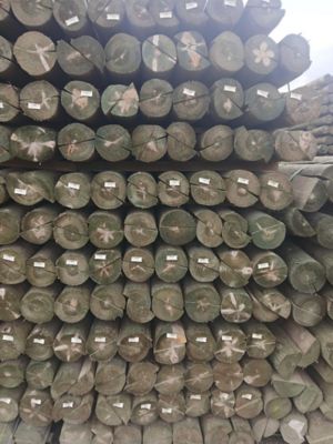 Pine Forest Lumber Company 8 ft. x 6-7 in. Half Round
