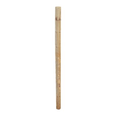 Repel 6-1/2 ft. x 2-1/2 in. CCA Pressure-Treated Fence Posts