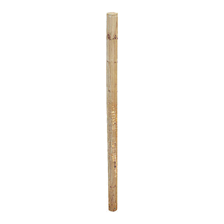 Repel 6-1/2 ft. x 2-1/2 in. CCA Pressure-Treated Fence Posts