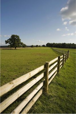 Image showing  6-1/2 ft. x 2-1/2 in. CCA Pressure-Treated Fence Posts
