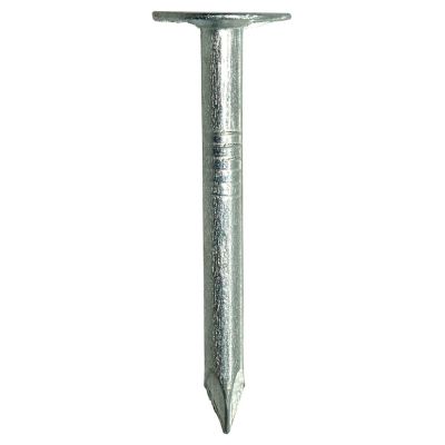 Image showing  1-1/4 in. Electro-Galvanized Roofing Nail 5 lb.