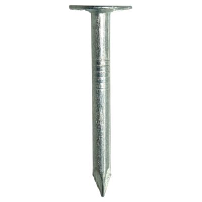 Image showing  Nail 1/4 in. EG RFG