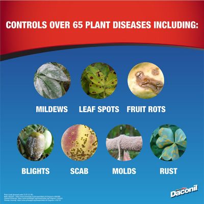 Image showing  32 oz. Daconil Ready-to-Use Fungicide