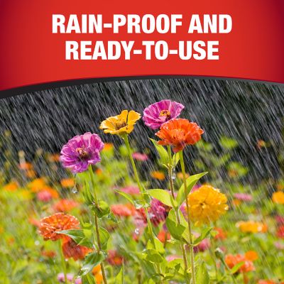 Image showing 5 th Sevin 32 oz. Daconil Ready-to-Use Fungicide