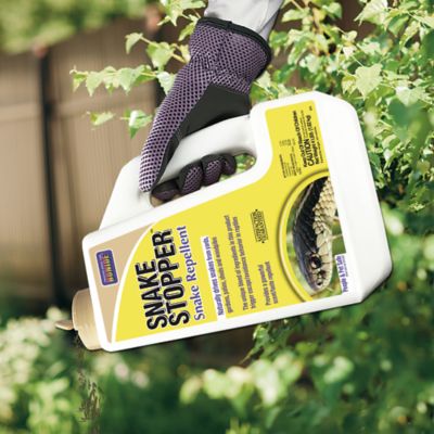 Image showing  4 lb. Snake Stopper Snake Repellent, Ready-to-Use Granules, Outdoor Deterrent for Snakes, People & Pet Safe