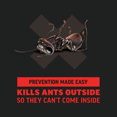 Image showing 5 th Amdro 24 oz. Ant Killer for Outdoor Home Perimeter