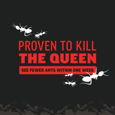 Image showing 6 th Amdro 24 oz. Ant Killer for Outdoor Home Perimeter