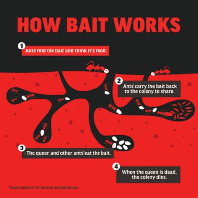 Image showing 9 th Amdro 24 oz. Ant Killer for Outdoor Home Perimeter