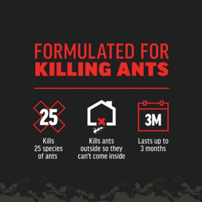 Image showing 10 th Amdro 24 oz. Ant Killer for Outdoor Home Perimeter