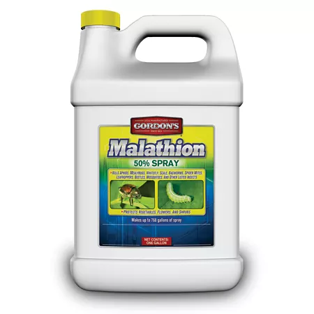 Gordon has 1 gallon 50% Malathion Insecticide Spray Concentrate Insecticides