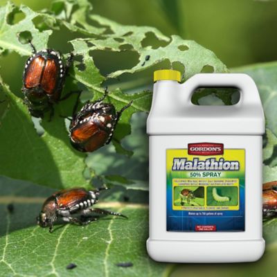 Image showing  1 gal. Malathion 50% Spray Insecticide Concentrate