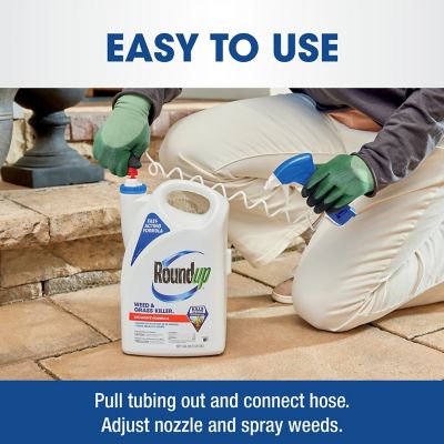 Image showing 8 th Roundup 1 gal. Weed & Grass Killer4 with Trigger Sprayer