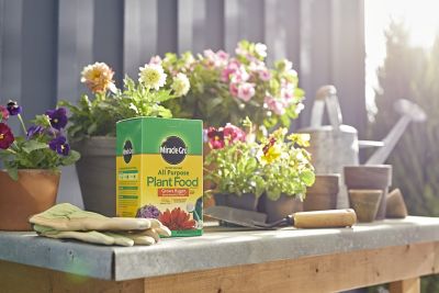 Image showing  3 lb. Water Soluble All-Purpose Plant Food