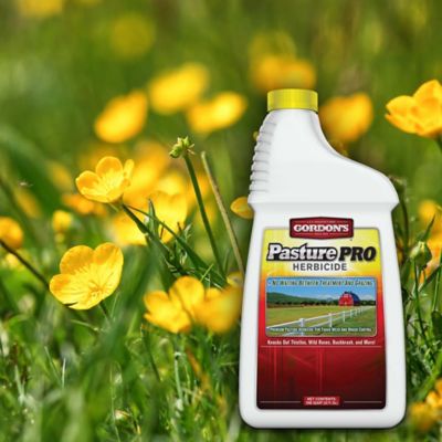 Image showing  1 qt. Pasture Pro Herbicide, Concentrate