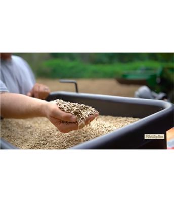 Image showing  Forage Oats Deer Food Plot Seed, 50 lb.