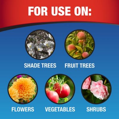 Image showing  Daconil Fungicide Concentrate, 16 oz.