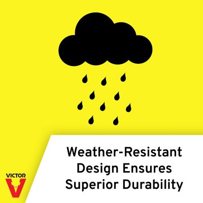 Image showing  Mole Trap