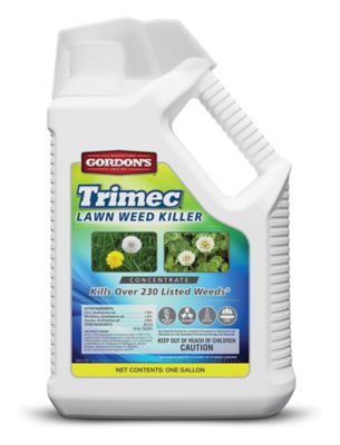Gordon's 1 gal. Trimec Lawn Weed Killer Concentrate