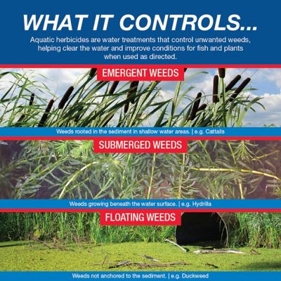 Image showing  Weedtrine D Aquatic Herbicide Pond Treatment, 1 gal.