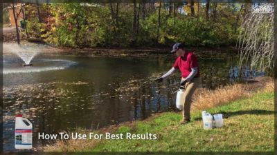 Image showing  Weedtrine D Aquatic Herbicide Pond Treatment, 1 gal.