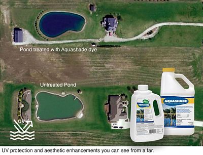 Image showing  Aquashade Aquatic Plant Growth Control, 1 gal.