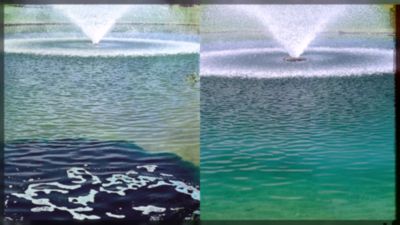 Image showing  Aquashade Aquatic Plant Growth Control, 1 gal.