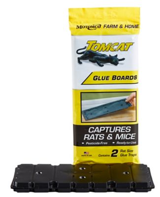 Tomcat Rat Glue Boards, 2-Pack