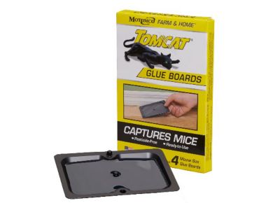 Image showing  Rat Glue Boards, 2-Pack