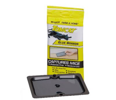 Image showing  Mouse Glue Boards, 4-Pack