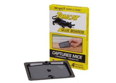 Image showing  Mouse Glue Boards, 4-Pack
